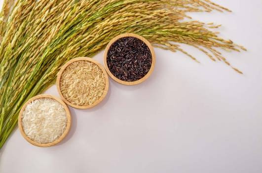 Le riz au Jasmin